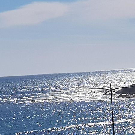 Ajaccio Centre Vieille Ville Imperiale Tt Confort Ttes Commodites 3 A 4 Pers Cathedrale A 300M Mer Port Marche Local Plages Екстер'єр фото